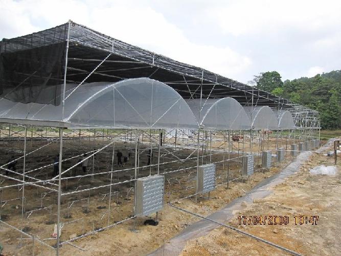 广西智能化大棚厂家造价与智能化工程全解析